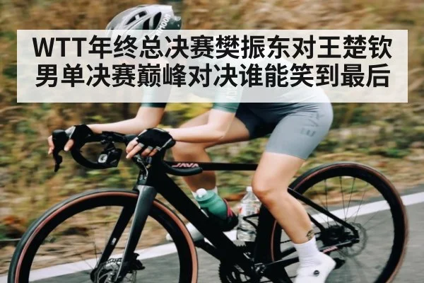 WTT年终总决赛樊振东对王楚钦男单决赛巅峰对决谁能笑到最后